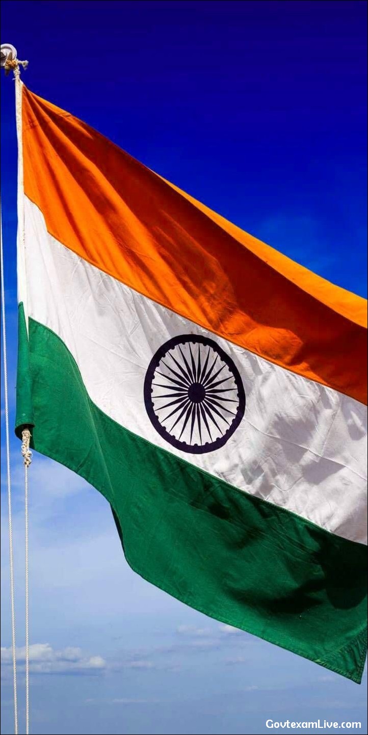 india-flag-dp