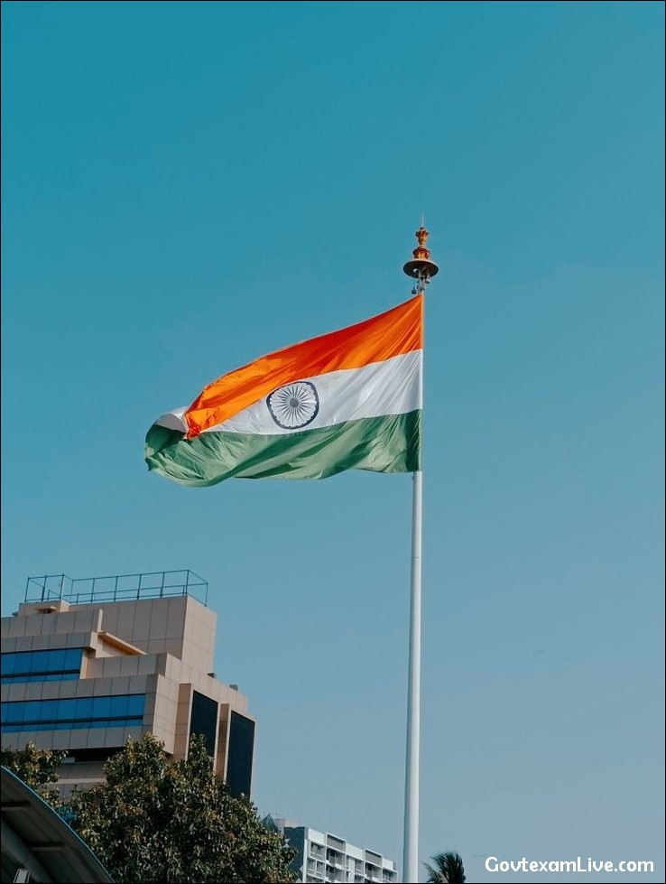 india-flag-dp